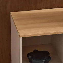 Aparador, mueble de almacenamiento de metal y decoración de madera 1 puerta, 80cm