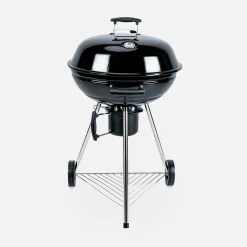 Barbacoa de carbón