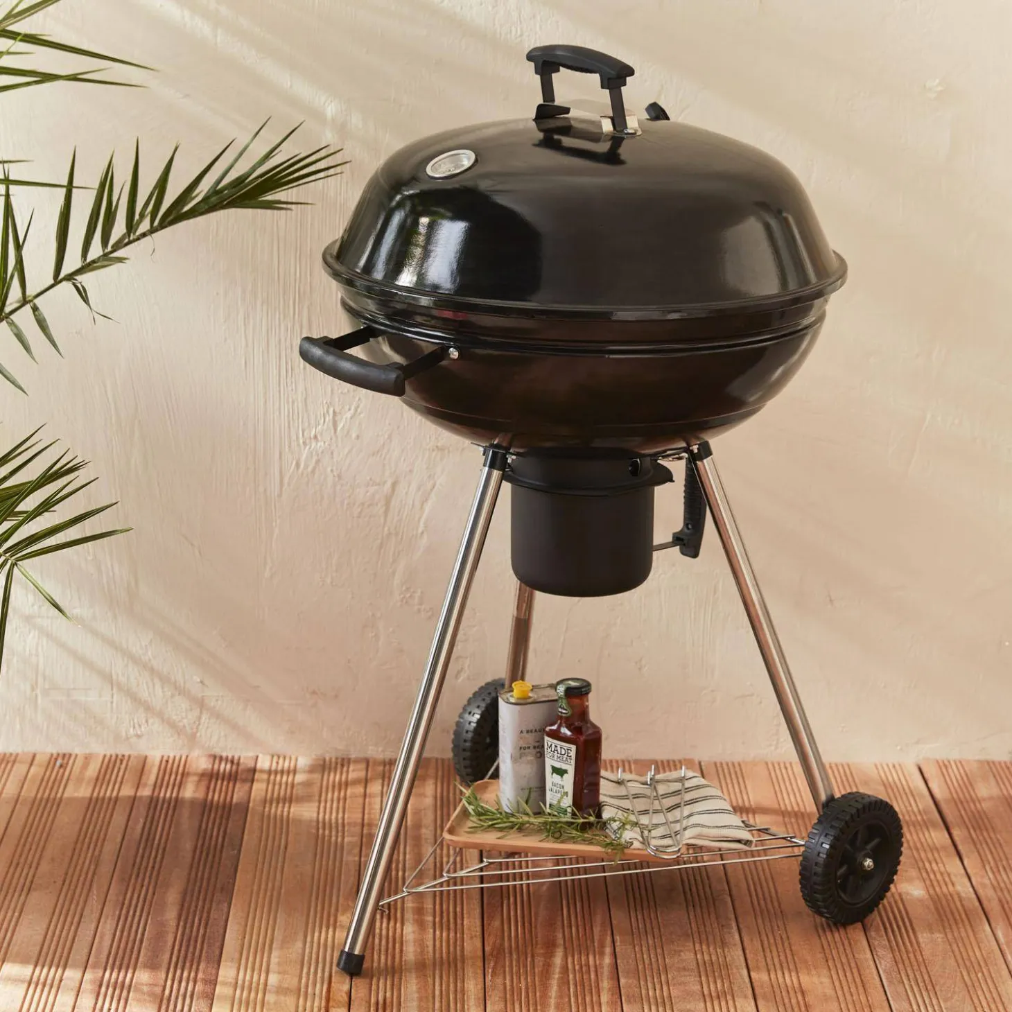 Barbacoa de carbón