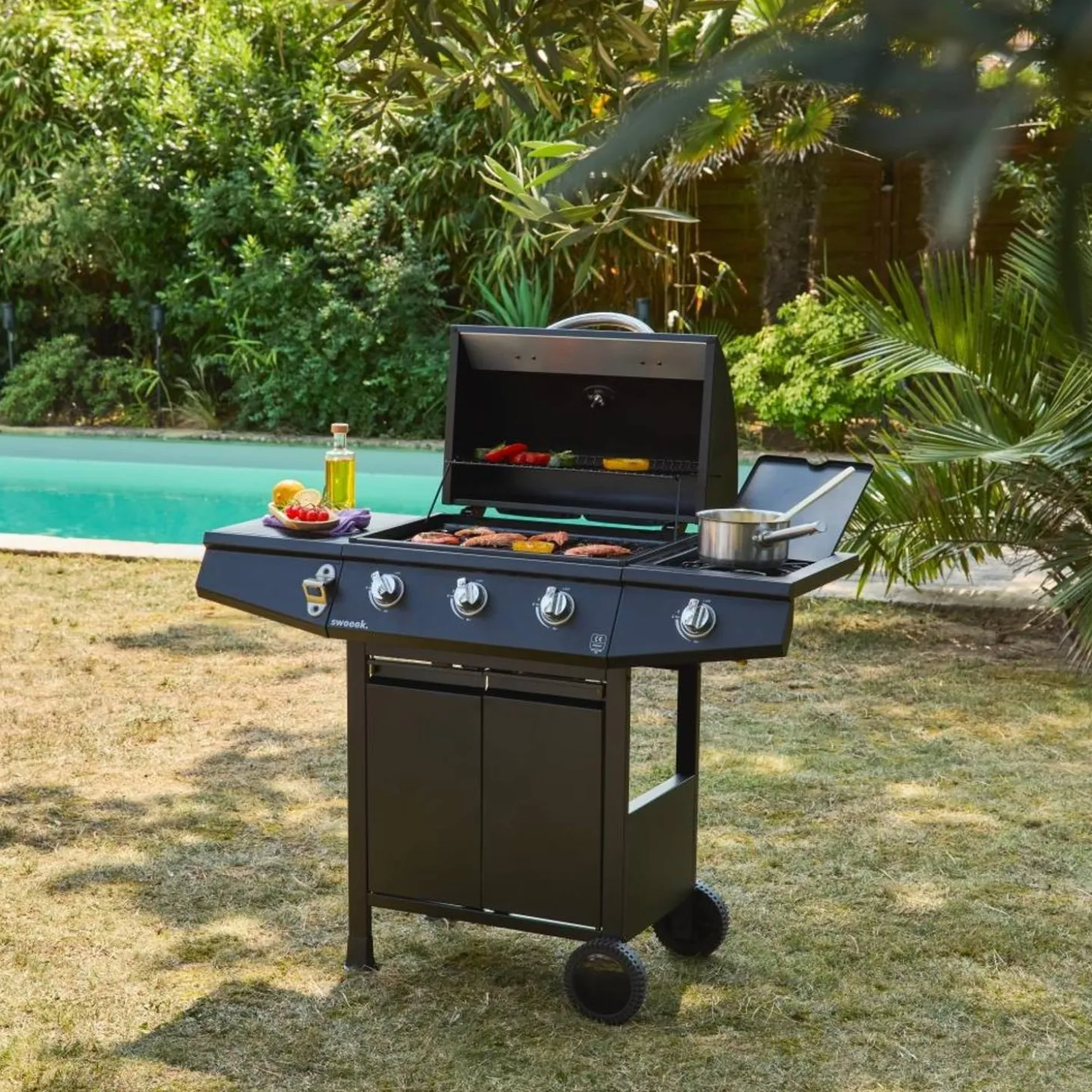 Barbacoa de gas con 3 quemadores y 1 quemador lateral