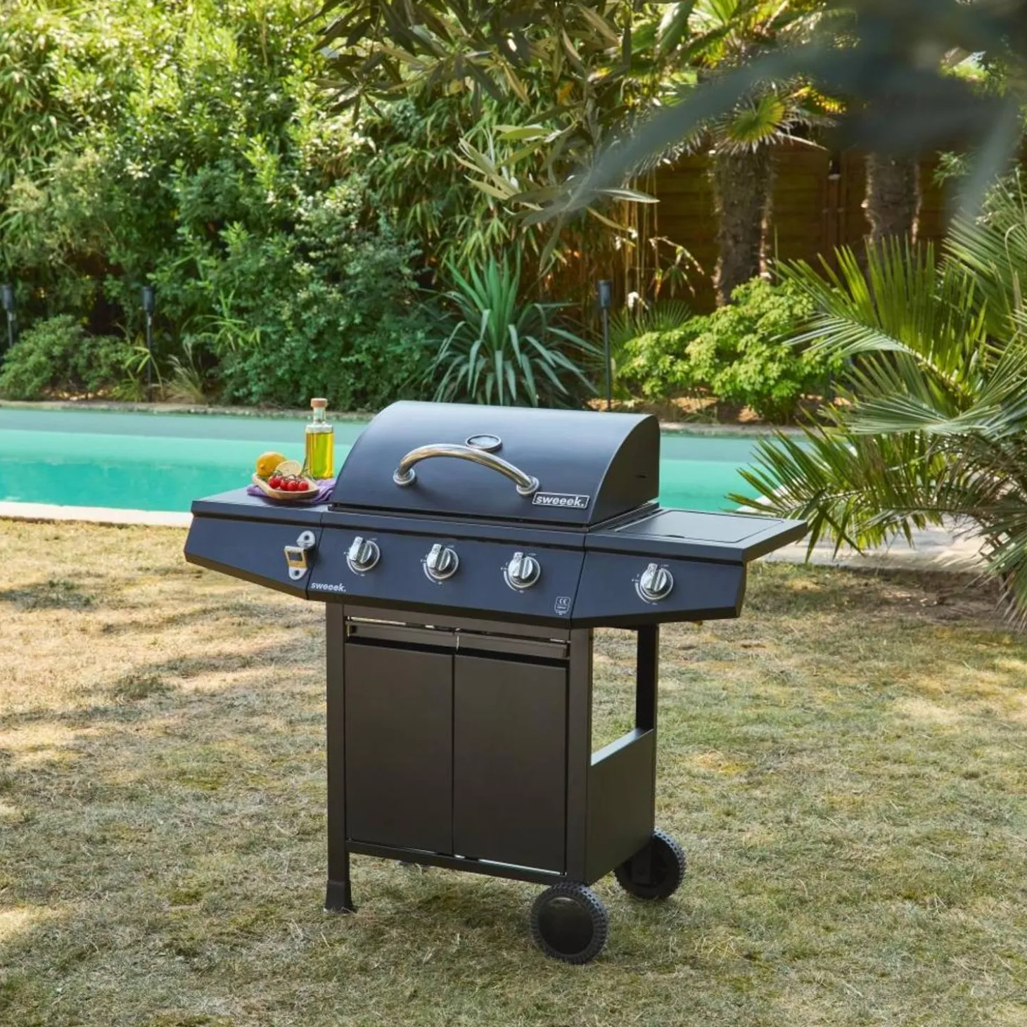 Barbacoa de gas con 3 quemadores y 1 quemador lateral