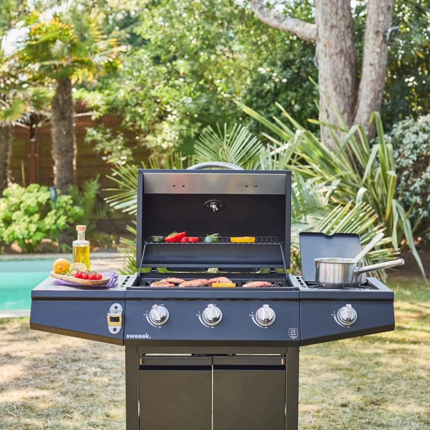 Barbacoa de gas con 3 quemadores y 1 quemador lateral