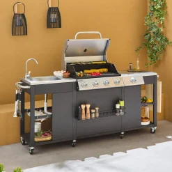 Barbacoa de gas de 5 quemadores con 1 quemador lateral