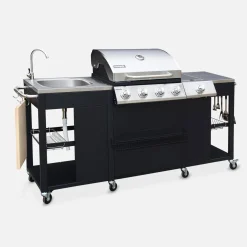 Barbacoa de gas de 5 quemadores con 1 quemador lateral
