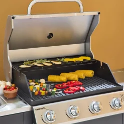 Barbacoa de gas de 5 quemadores con 1 quemador lateral