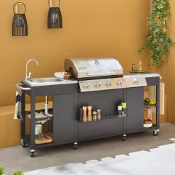 Barbacoa de gas de 5 quemadores con 1 quemador lateral
