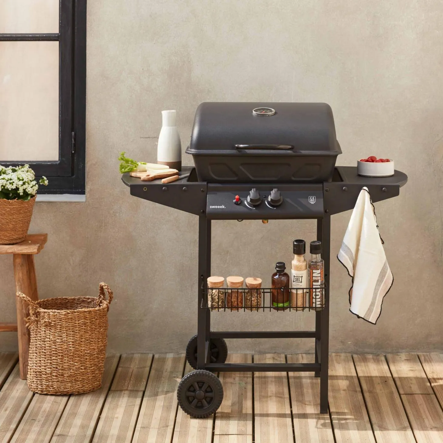 Barbacoa de gas de 2 quemadores
