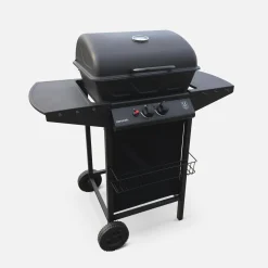 Barbacoa de gas de 2 quemadores