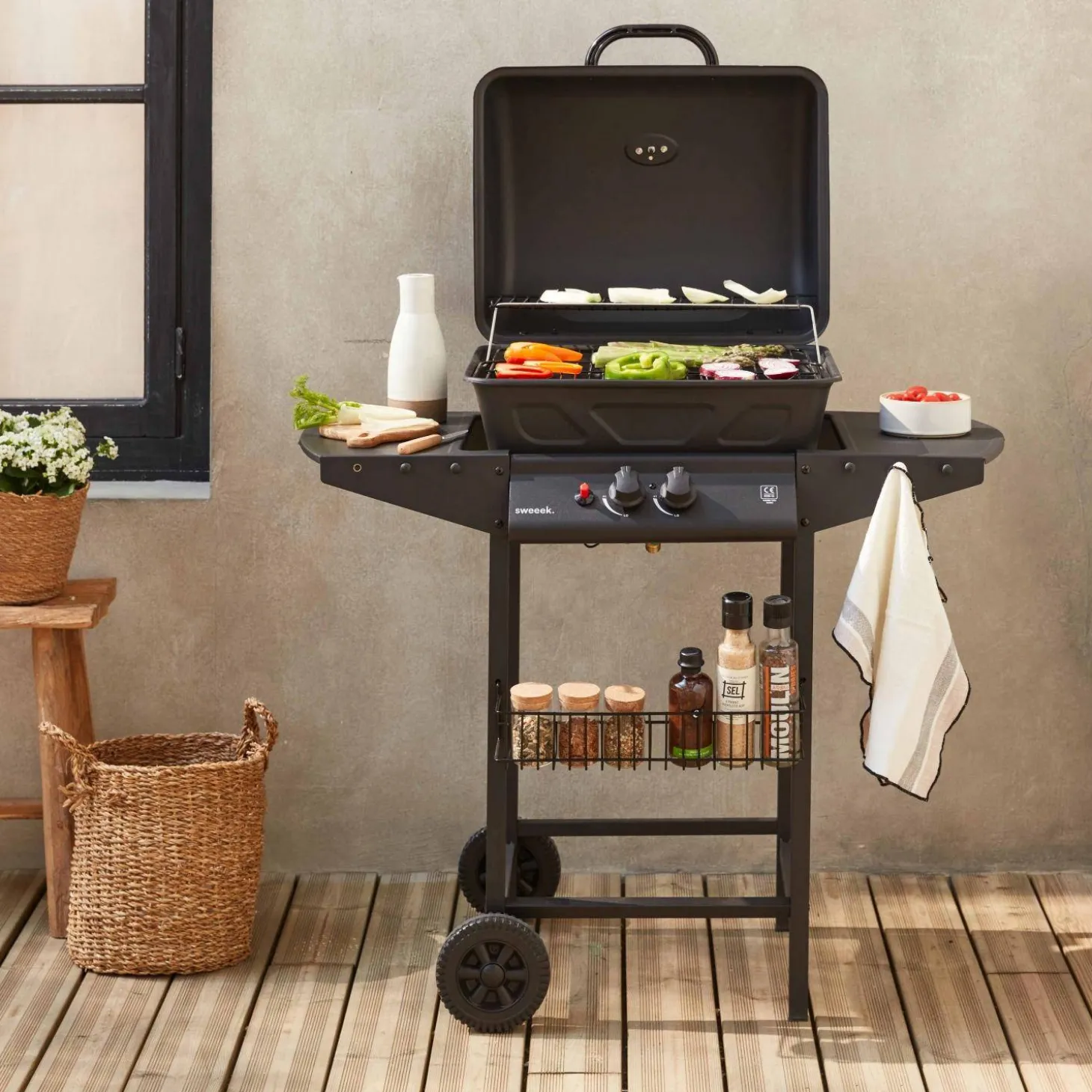 Barbacoa de gas de 2 quemadores