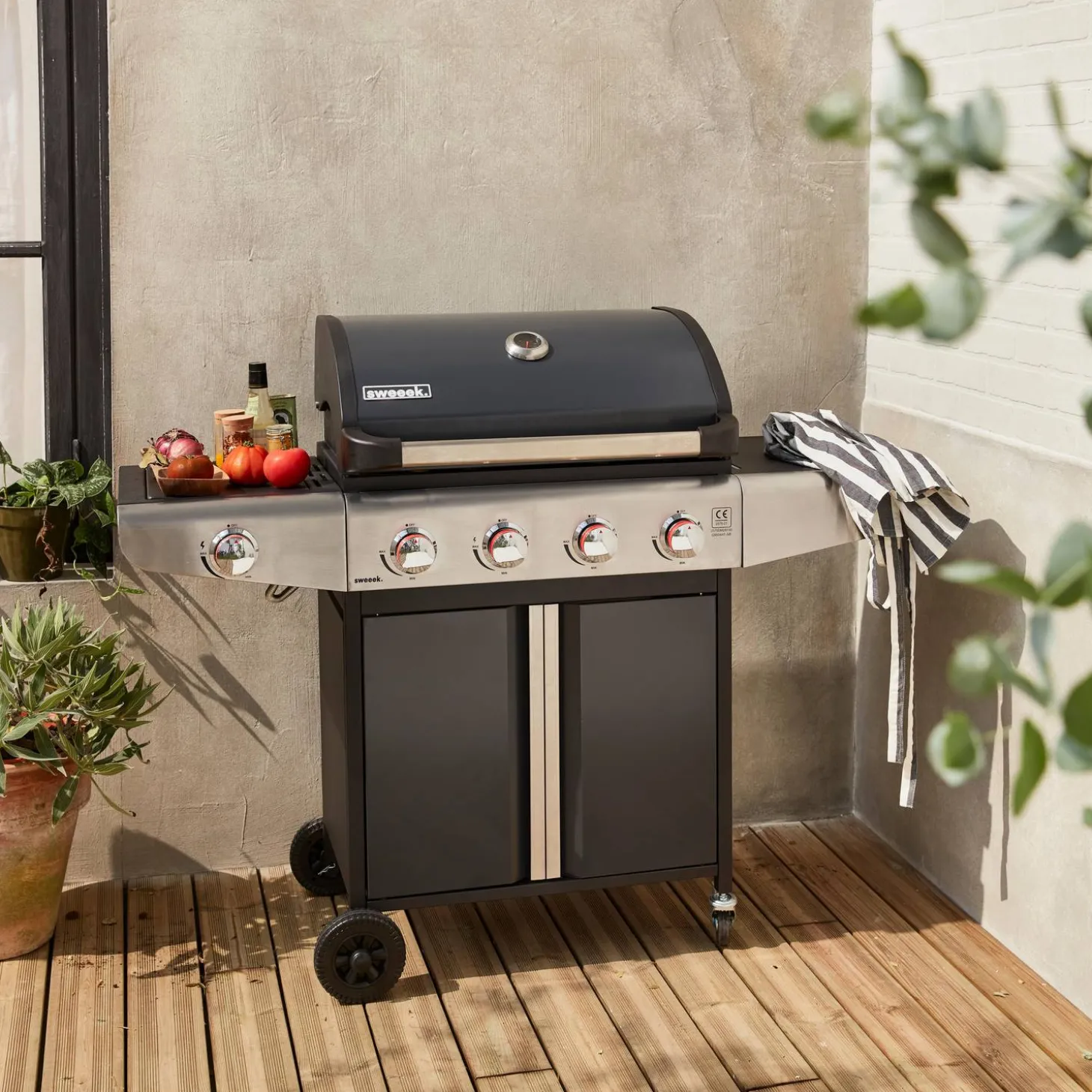Barbacoa de gas de 5 quemadores con 1 quemador lateral