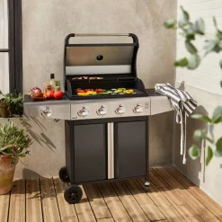 Barbacoa de gas de 5 quemadores con 1 quemador lateral
