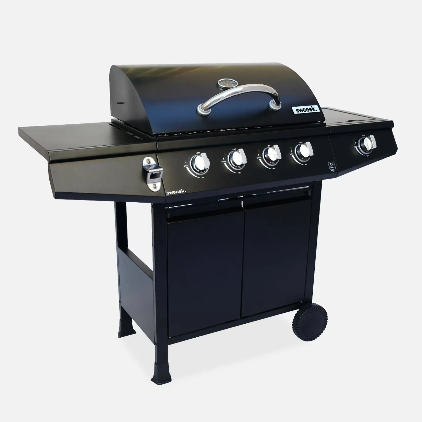 Barbacoa de gas de 5 quemadores con 1 quemador lateral