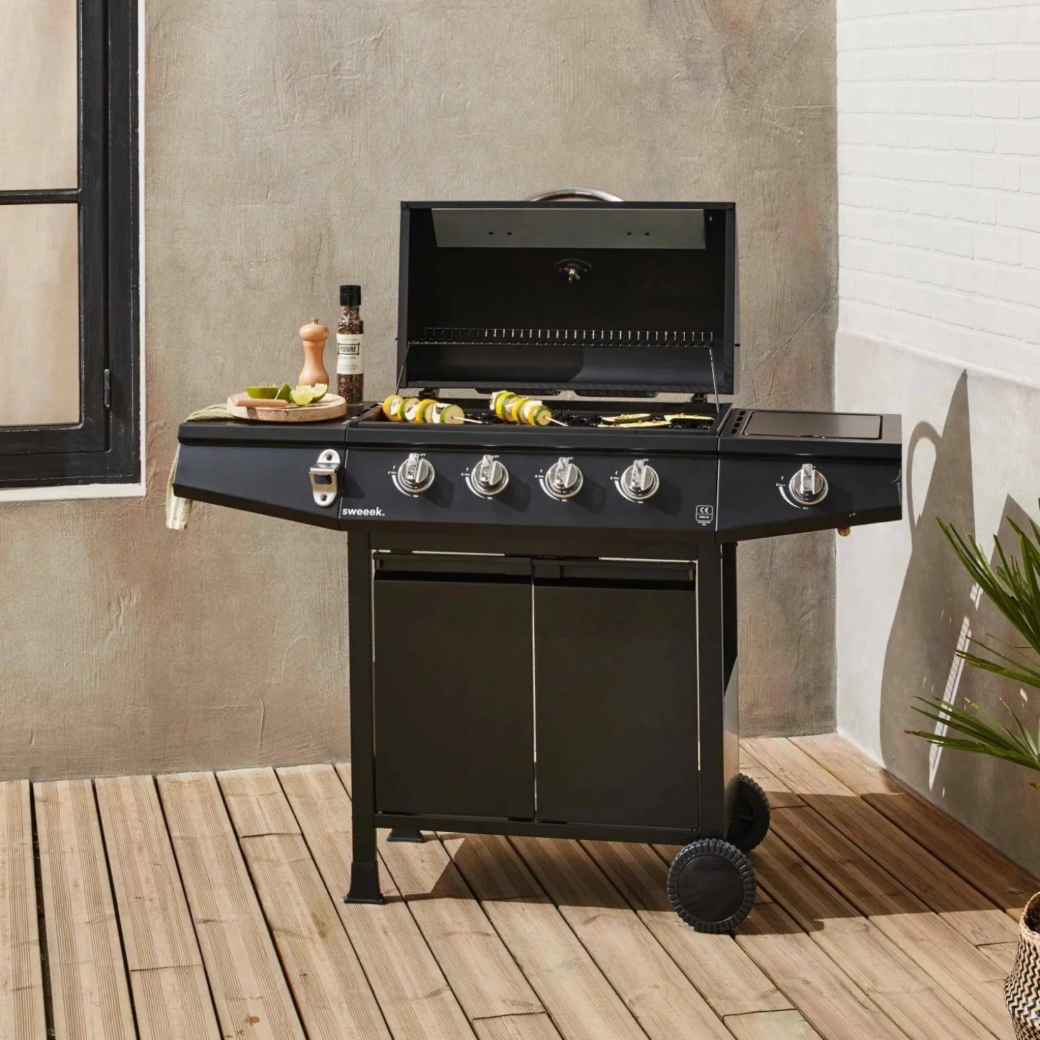 Barbacoa de gas de 5 quemadores con 1 quemador lateral