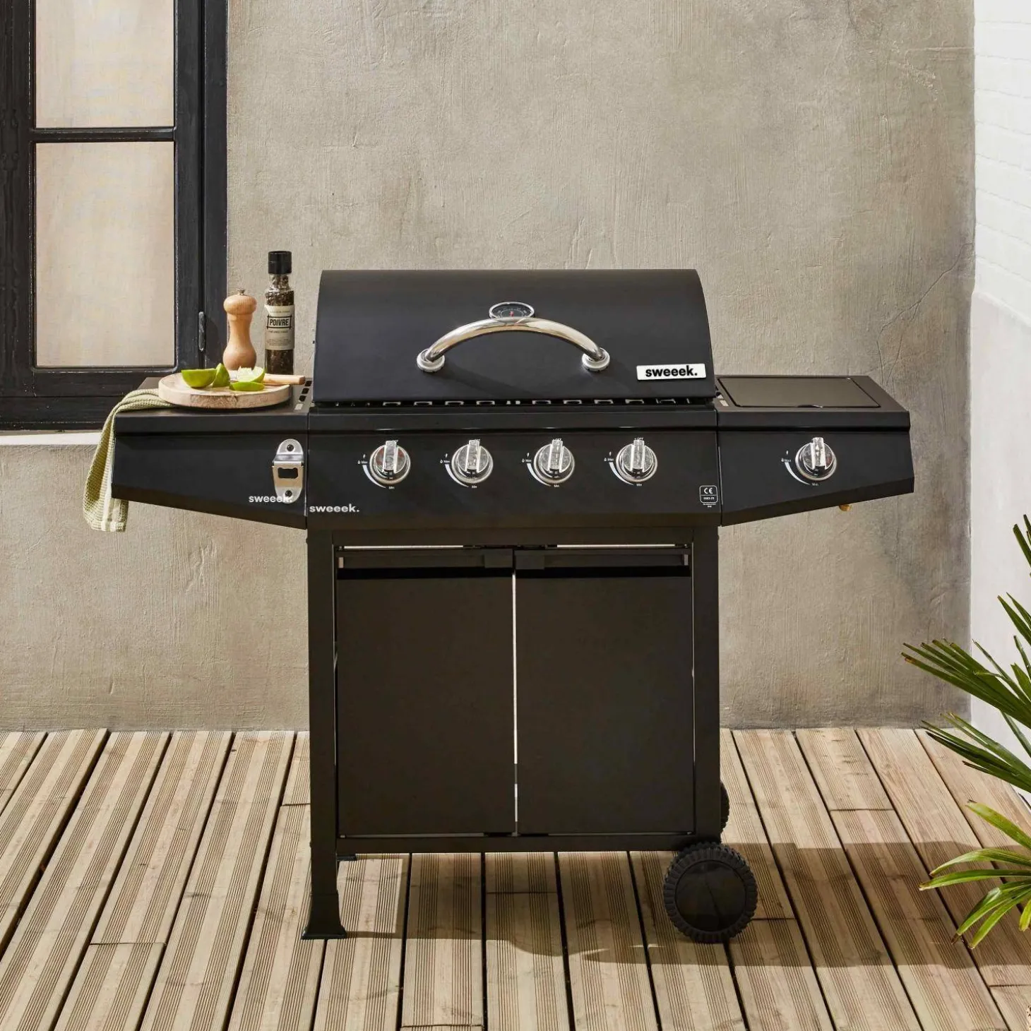 Barbacoa de gas de 5 quemadores con 1 quemador lateral