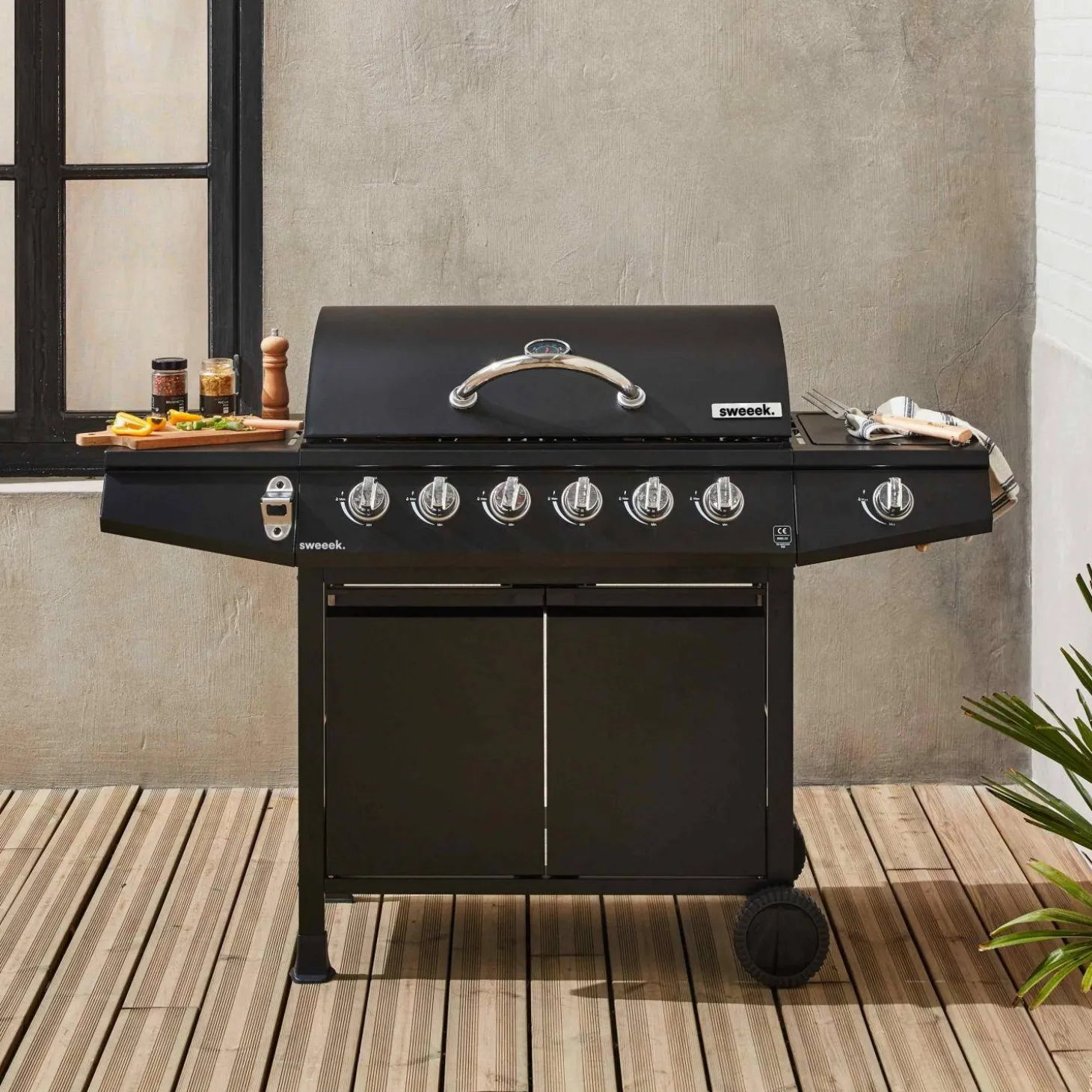Barbacoa de gas de 7 quemadores con 1 quemador lateral
