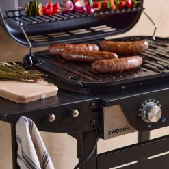 Barbacoa eléctrica de 2 quemadores, acero esmaltado