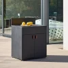 Cocina exterior de acero, 2 puertas, 80cm