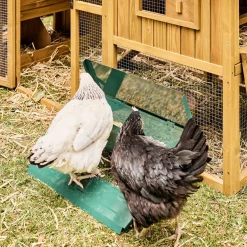 Comedero automático para gallinas 5kg
