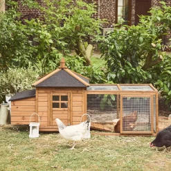 Gallinero de madera con corral para 2 gallinas