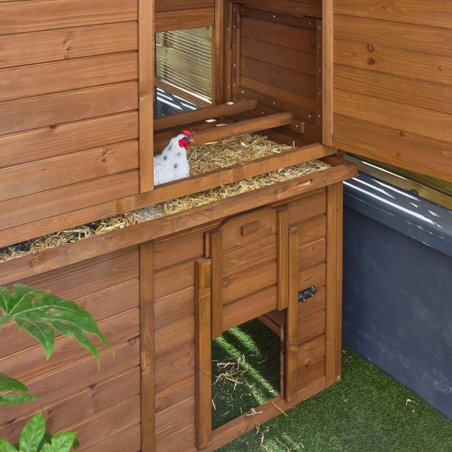 Gallinero de madera con corral para 6 a 8 gallinas