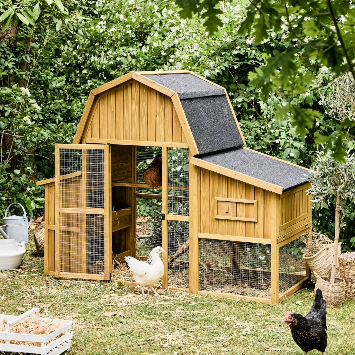 Gallinero en madera de abeto para 6 gallinas