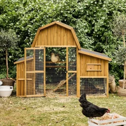 Gallinero en madera de abeto para 6 gallinas