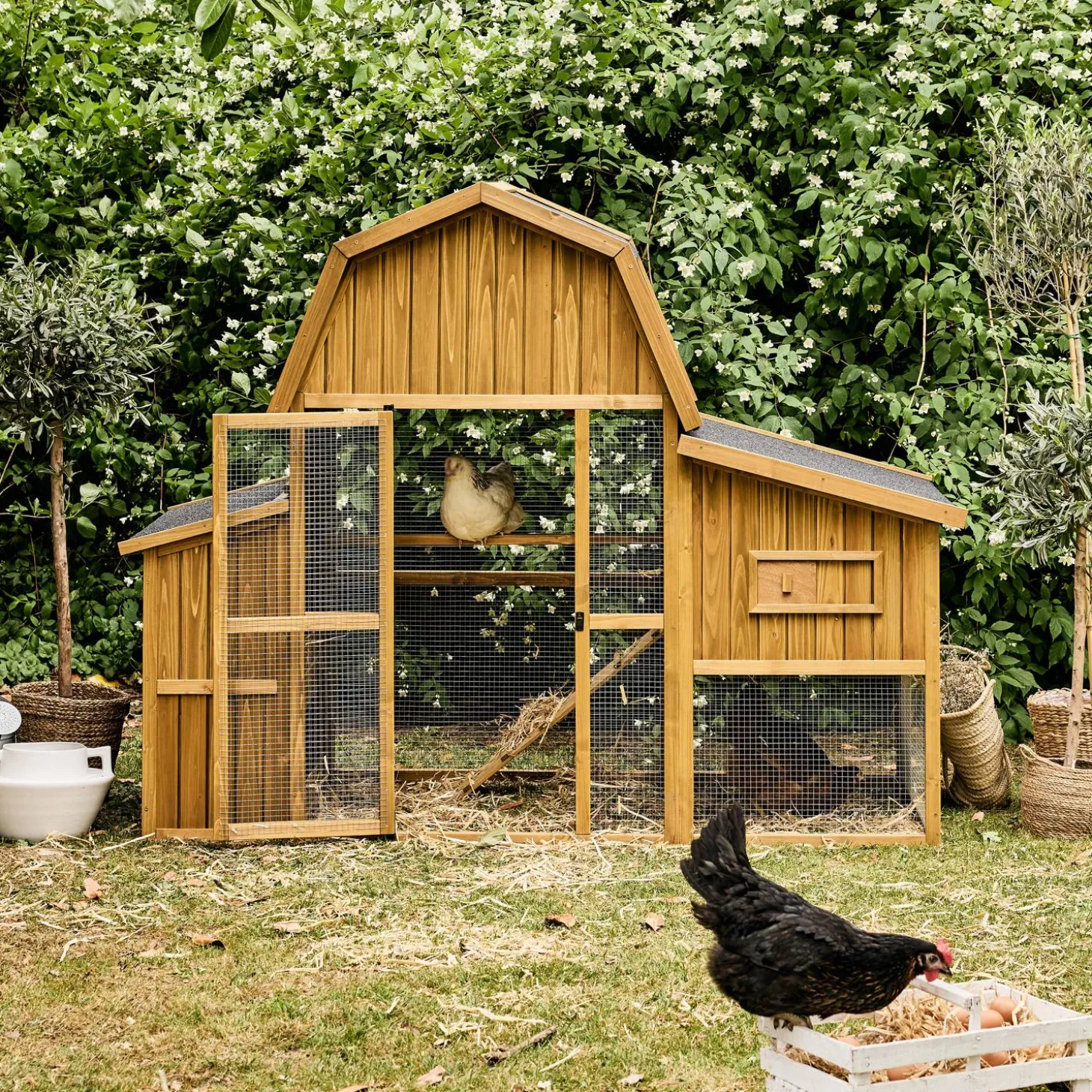 Gallinero en madera de abeto para 6 gallinas
