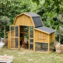 Gallinero en madera de abeto para 6 gallinas