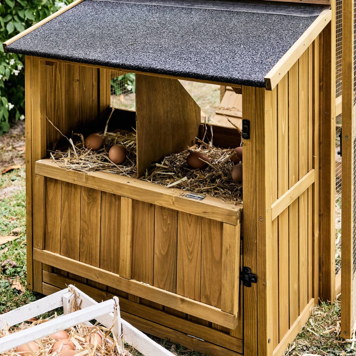 Gallinero en madera de abeto para 6 gallinas
