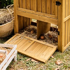 Gallinero en madera de abeto para 6 gallinas