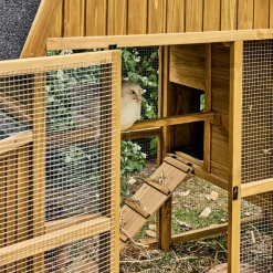Gallinero en madera de abeto para 6 gallinas