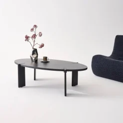 Mesa de centro ovalada de madera maciza de mango