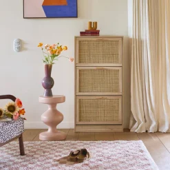 Mueble zapatero de 3 puertas con decoración de caña y madera