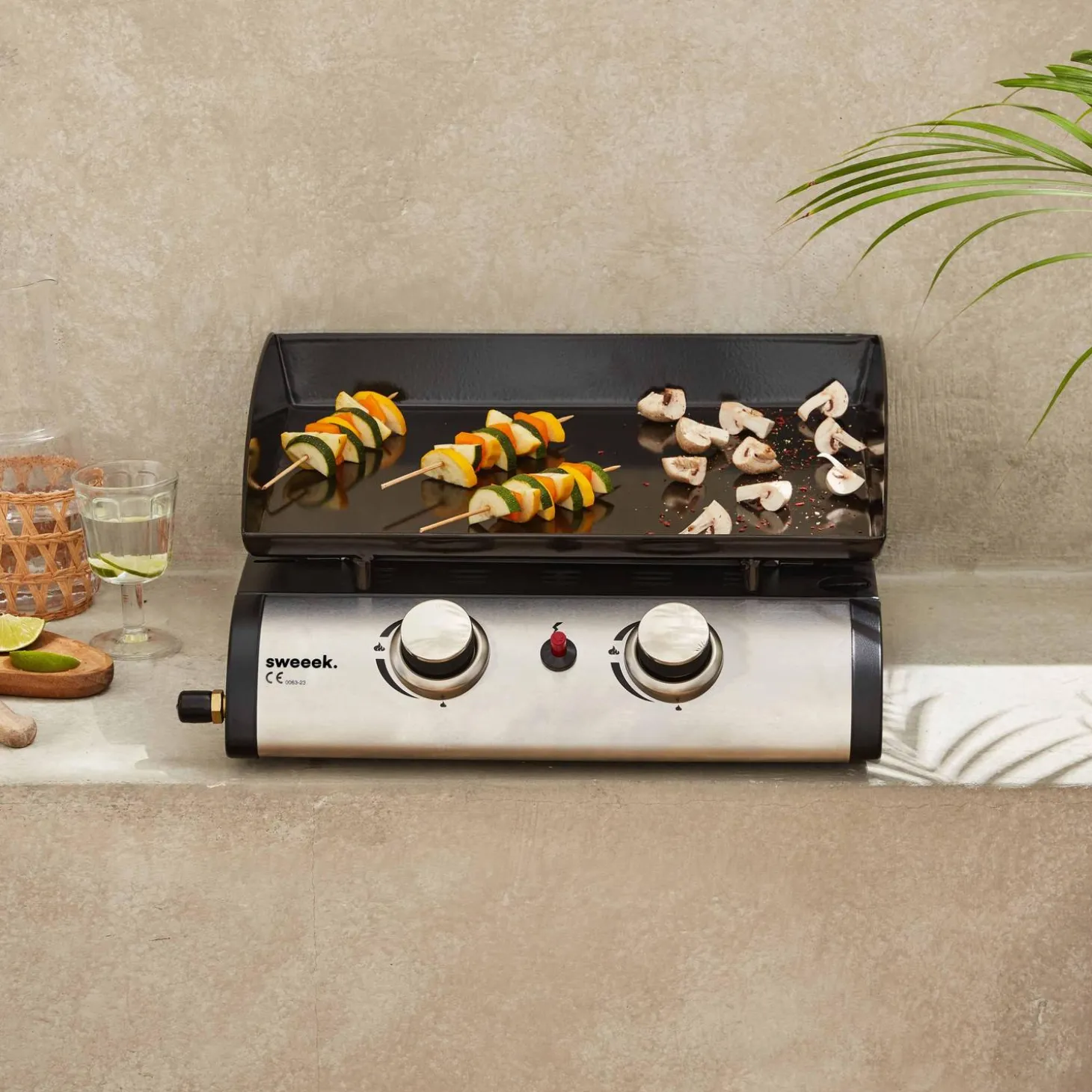 Plancha de gas con 2 quemadores de acero inoxidable, 5kW